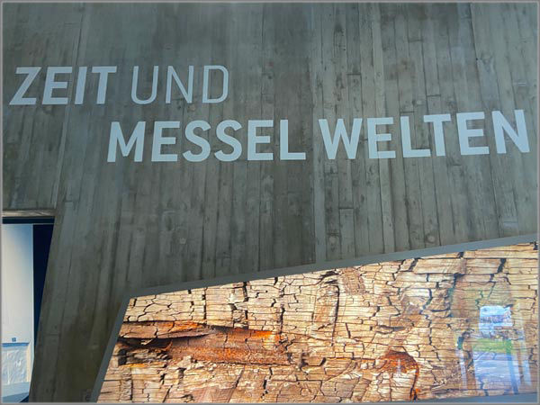  Zeit und Messel Welten