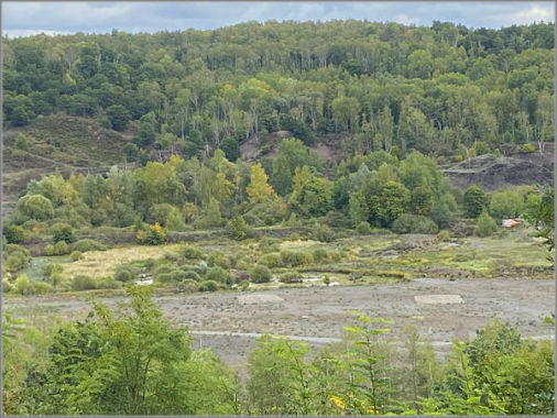 Die Grube Messel Natur