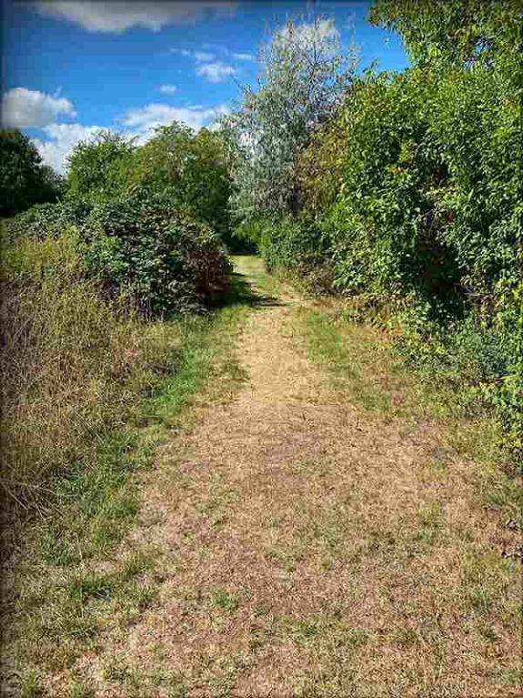 Kleinaspergle - Hohlweg Lichtung